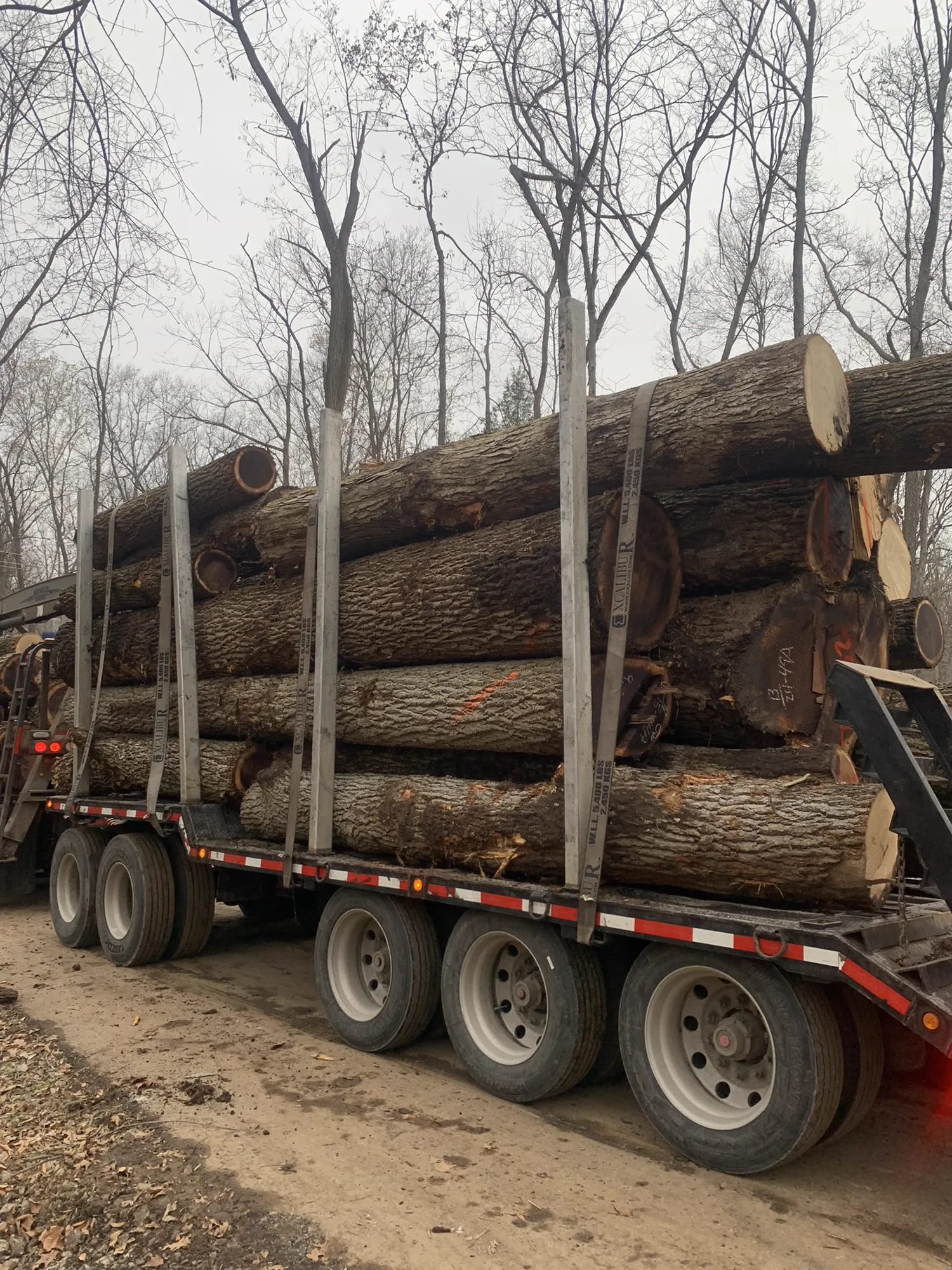Full-scale removal